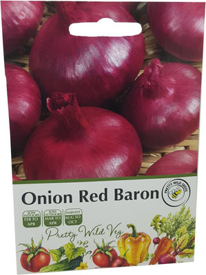 KNESSiN Easy to Grow Onion Red Baron Seeds For Kitchen Gardening-(600 Seeds) Seed(600 per packet)