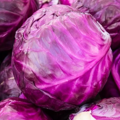 MYLAWN Chinese Purple Cabbage Seed(800 per packet)