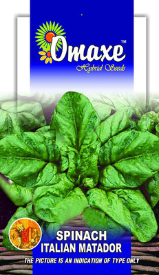 VibeX Spinach Seed(500 per packet)