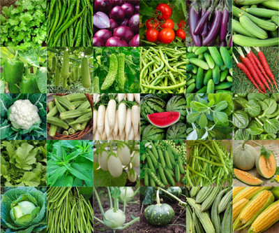 Agnico Agnico 30 Variety Of Vegetable Seeds Combo Pack With Instruction Manual.… Seed(30 per packet)