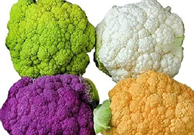 Qualtivate RES-4A Cauliflower F1 Hybrid (Mixed) Seeds Seed(300 per packet)