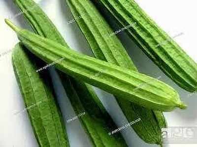 Paudhaa FI QUALITY RIDGE GOURD Seed(21 per packet)