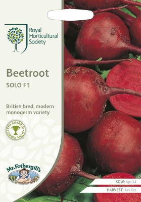 KNESSiN Beetroot Solo Seed(1250 per packet)