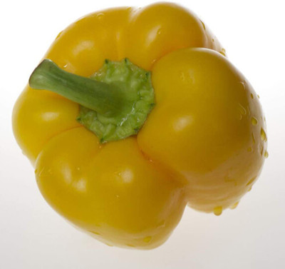 CYBEXIS Yellow Capsicum Seeds600 Seeds Seed(600 per packet)