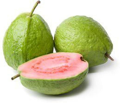 TRICONE Guava Seed(50 per packet)