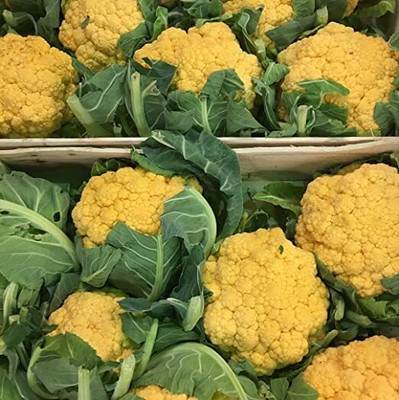 Aywal Yellow cauliflower Gobi Seed(25 per packet)