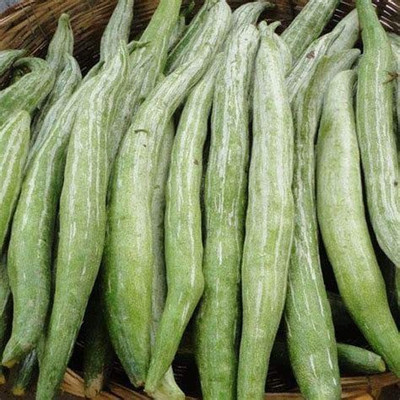 WILLVINE LXI-56 Trichosanthes Cucumerina Anguina Snake Gourd Seeds Seed(50 per packet)