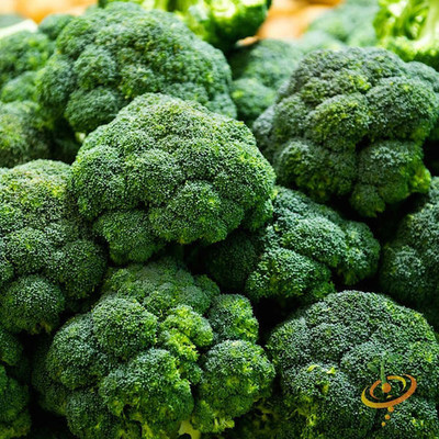CYBEXIS Calabrese' Heirloom Broccoli2000 Seeds Seed(2000 per packet)
