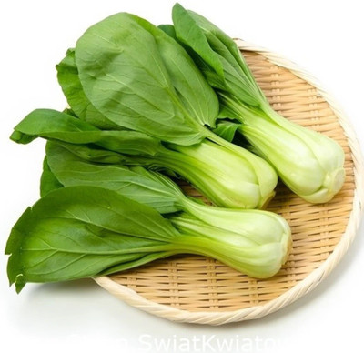 CEZIUS Seeds for Planting Chinese Cabbage Pak Choi Brassica Rapa Seed(65 per packet)