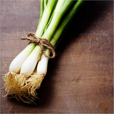 Qualtivate ICRA6-A Tokyo Long White Bunching Onion Seed(500 per packet)
