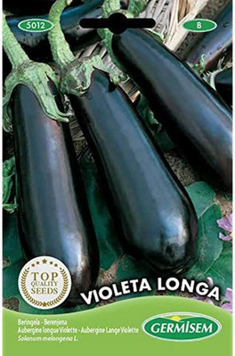 Biosnyg Abundant Yield Violet Long Brinjal ( Seeds) Seed(5000 per packet)