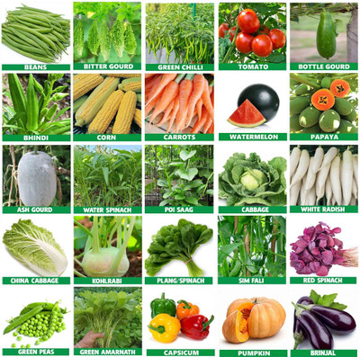 the green dotcom Summer vegetable seeds 20 variety combo for gardening Seed(2900 per packet)