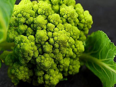 Aywal Green Cauliflower|Phol Gobhi Hybrid F1 Seeds for Home Gardening Seed(30 per packet)