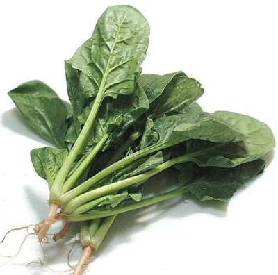 MYLAWN High Quality Spinach/Palak Vegetables Seed(2000 per packet)