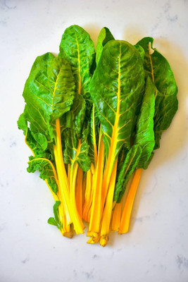 Qualtivate RES-1A Silver Beet Spinach Rainbow Seed(300 per packet)