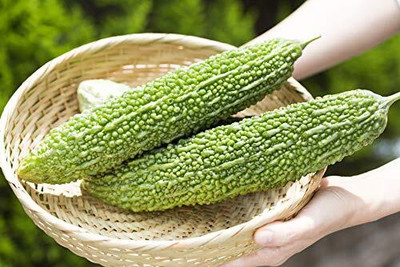 Qualtivate AXL-1AT Bitter Gourd (Karela) seed Seed(50 per packet)