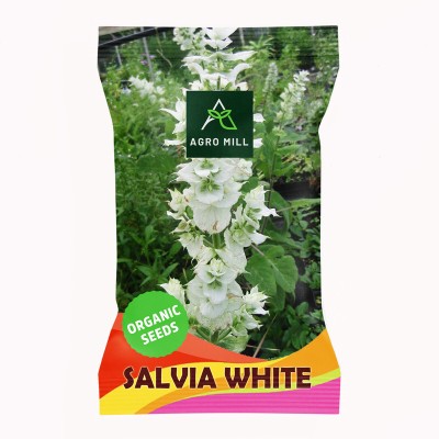 AGRO MILL SALVIA/DIVINER'S SAGE/LADY SALVIA/MAGIC MINT WHITE FLOWER Seed(50 per packet)
