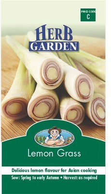 CYBEXIS XL-97 - Hybrid Lemongrass - (2250 Seeds) Seed(2250 per packet)