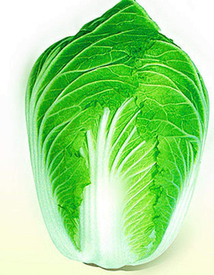 CYBEXIS Fast Growing F1 Hybrid Chinese Cabbage Seeds1000 Seeds Seed(1000 per packet)