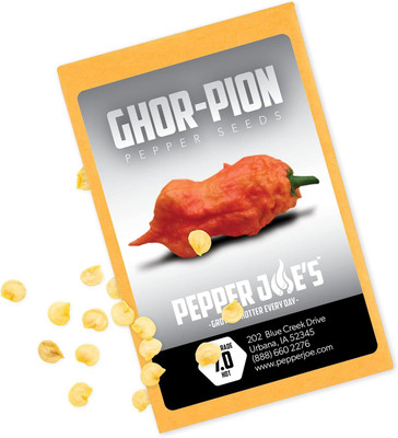 Qualtivate EXL-4AT Ghorpion Pepper Chilli Seed(300 per packet)
