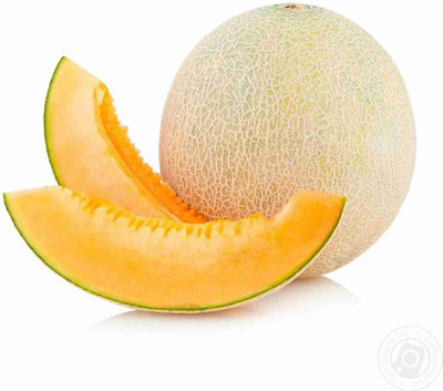 VibeX XLL-1 - MUSKMELON F-1 HYBRID US-111 - (1350 Seeds) Seed(1350 per packet)