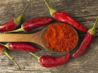 Biosnyg Organic LONG RED THIN PEPPER Seeds For Gardening-(400 Seeds) Seed(400 per packet)