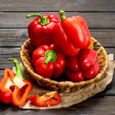 Biosnyg Non GMO Solario Red Capsicum Seeds for Home Gardening-(50 Seeds) Seed(50 per packet)