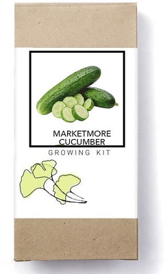 Biosnyg Cucumber Seed(500 per packet)