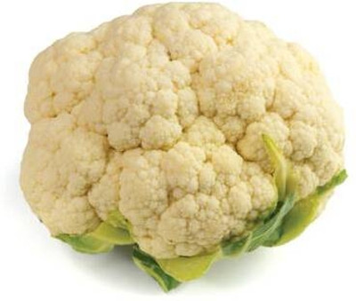 Diatto white cauliflower,gobhee seeds Seed(40 per packet)