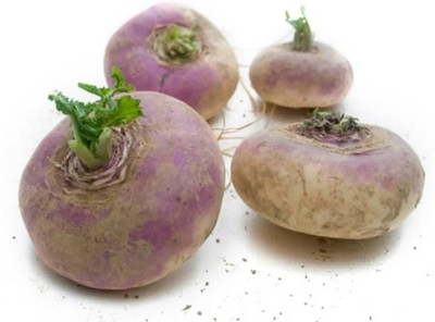 Avysa White Purple Ball Turnip/Shalgam Seed(1000 per packet)