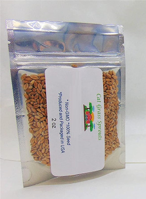 Qualtivate TLX-174 Hard Red Winter Wheat Seed(2000 per packet)