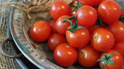 Oliver HYBRID F1 QUALITY TOMATO SEEDS Seed(45 per packet)