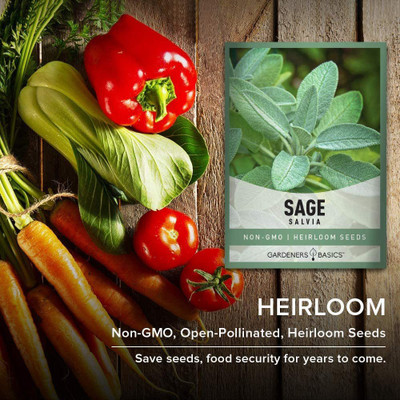 VibeX VVI-55 - Sage for Planting - (1350 Seeds) Seed(1350 per packet)