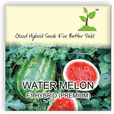 CYBEXIS Water Melon Hybrid Seeds100 Seeds Seed(100 per packet)