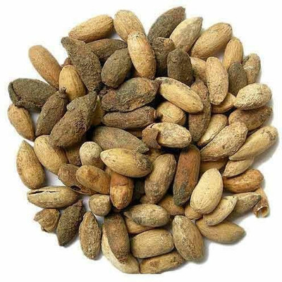 Sjeme Neem Malabar Neem Seed Seed(65 per packet)