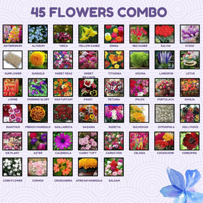 Greenery Hub 45 Flower Seed Combo for a Blooming Garden Seed(45 per packet)