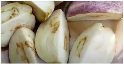 Biosnyg Heirloom Rotonda Bianca Pink Brinjal Eggplant ( Seeds) Seed(2000 per packet)