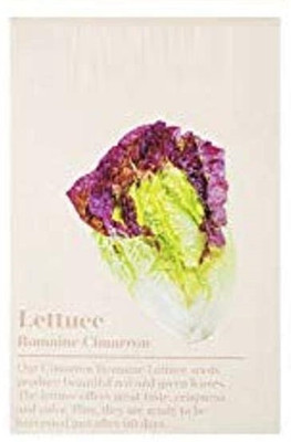 Qualtivate PUAS-1A Red Leaf Lettuce Seed(300 per packet)