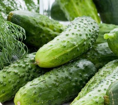 CRGO CUCUMBER , KHEERA Seed(40 per packet)