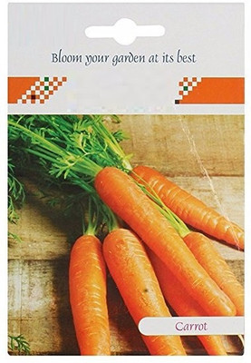 CYBEXIS Carrot Hybrid Seeds4000 Seeds Seed(4000 per packet)