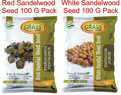 grassland Red Sandalwood & White Sandalwood Tree Seeds Combo Pack 100 Gram Each Pack Seed(200 g)