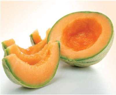 PLUSGREEN Muskmelon Cataloupe Melon Seed(60 per packet)