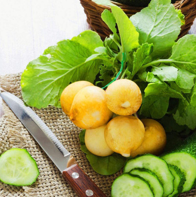 CYBEXIS Fast Germination Seeds of Radish Zlata Yellow1200 Seeds Seed(1200 per packet)