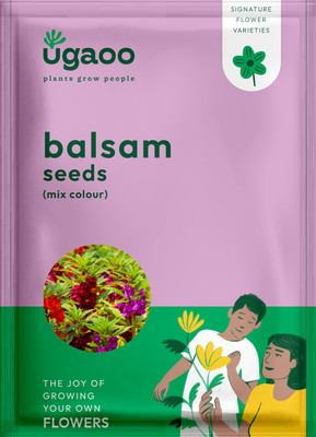 UGAOO Balsam Flower Seeds Seed(200 per packet)