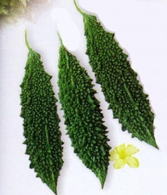 LPR KARELA ,BITTAR GOURD Seed(50 per packet)