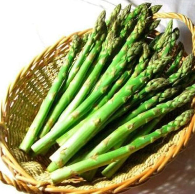 CYBEXIS Asparagus Seeds Perennial Non-GMO400 Seeds Seed(400 per packet)