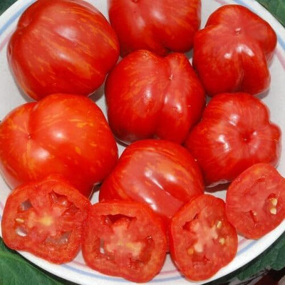 Biosnyg Fast Growing Striped Cavern Tomato Seeds For Kitchen Gardening - (1000 Seeds) Seed(1000 per packet)