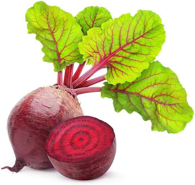 BDSresolve Beetroot seeds for sprouts Pack of 82 Seed(82 per packet)