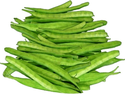 XOLDAA CLUSTER BEANS SEEDS Seed(50 per packet)