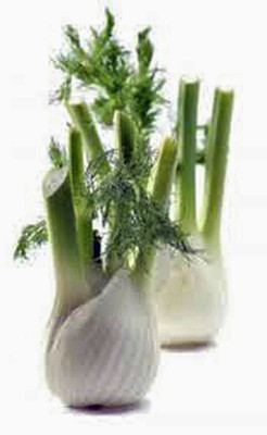 CYBEXIS ATS-16 - Florence Fennel - (2250 Seeds) Seed(2250 per packet)